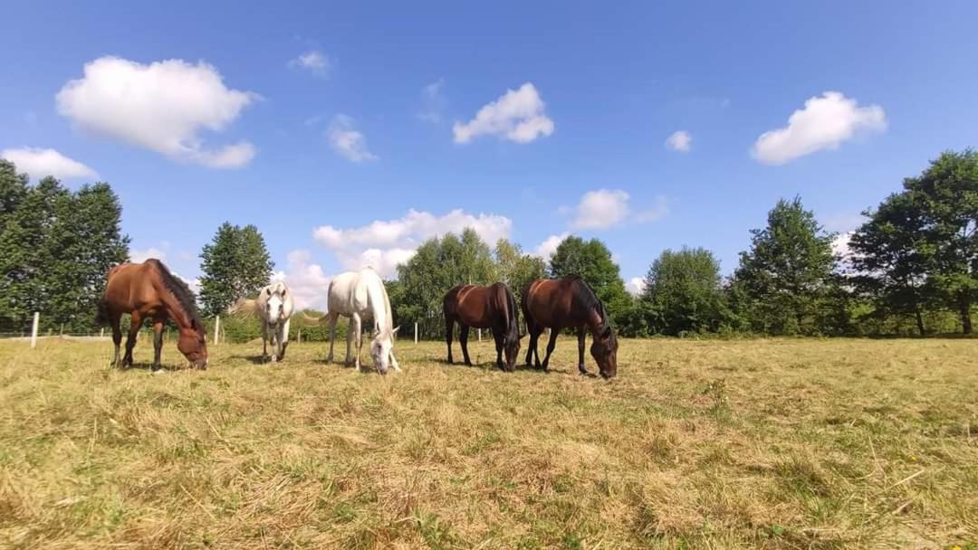 Rancho Leg Holiday home *